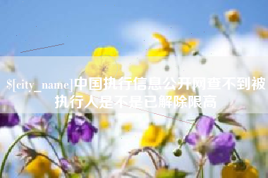 崇左中国执行信息公开网查不到被执行人是不是已解除限高