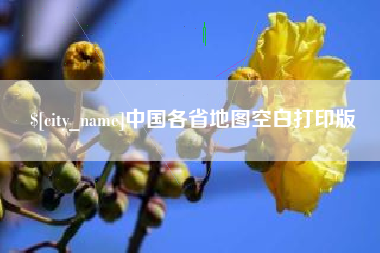 崇左中国各省地图空白打印版