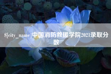 崇左中国消防救援学院2021录取分数