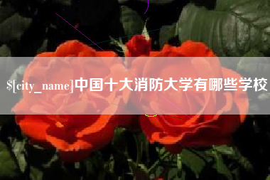 崇左中国十大消防大学有哪些学校