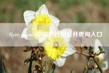 崇左中国执行网公开查询入口