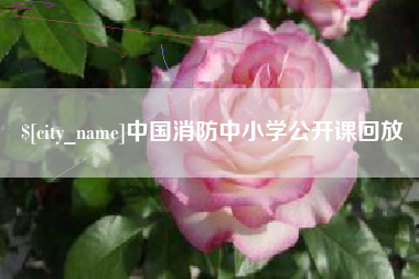 崇左中国消防中小学公开课回放