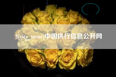 崇左中国执行信息公开网