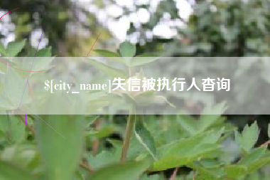 崇左失信被执行人杳询