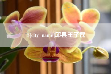 崇左邱县王子磊