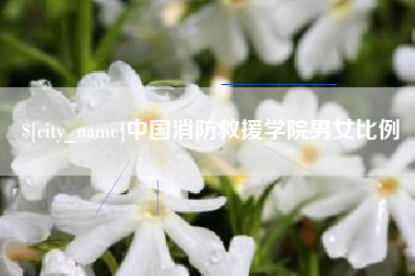 崇左中国消防救援学院男女比例