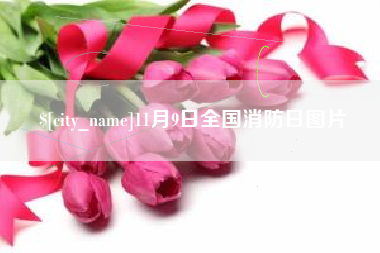 崇左11月9日全国消防日图片