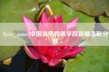 崇左中国消防救援学院新疆录取分数