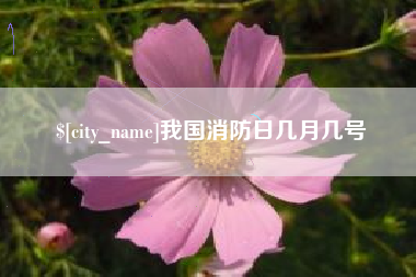 崇左我国消防日几月几号