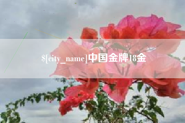 崇左中国金牌18金