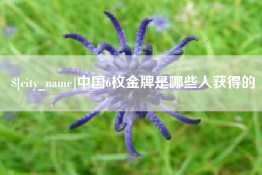 崇左中国6枚金牌是哪些人获得的