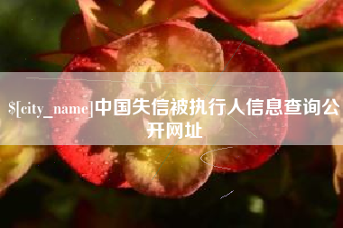 崇左中国失信被执行人信息查询公开网址