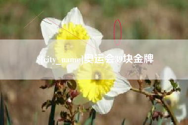 崇左奥运会39块金牌