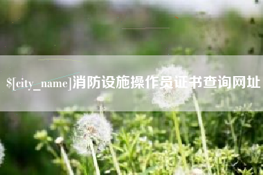 崇左消防设施操作员证书查询网址