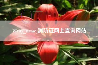 崇左消防证网上查询网站