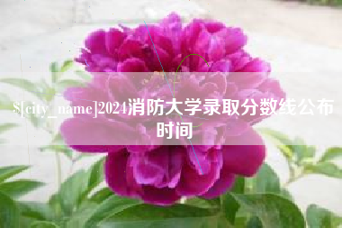 崇左2024消防大学录取分数线公布时间