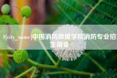 崇左中国消防救援学院消防专业招生简章