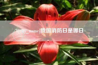 崇左我国消防日是哪日