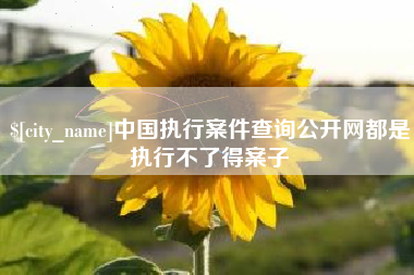 崇左中国执行案件查询公开网都是执行不了得案子