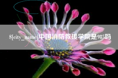 崇左中国消防救援学院是985吗