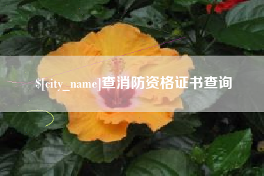 崇左查消防资格证书查询