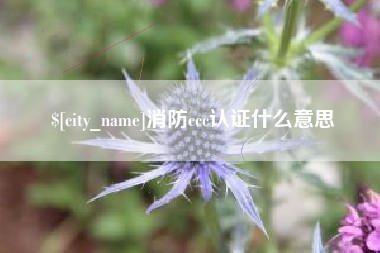 崇左消防ccc认证什么意思