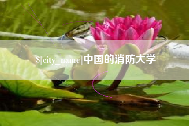崇左中国的消防大学