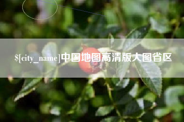 崇左中国地图高清版大图省区