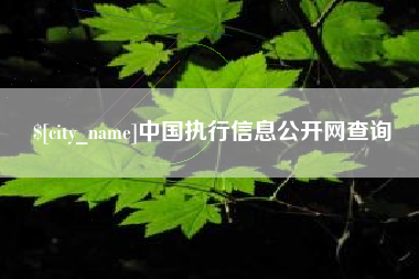 崇左中国执行信息公开网查询
