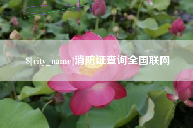 崇左消防证查询全国联网
