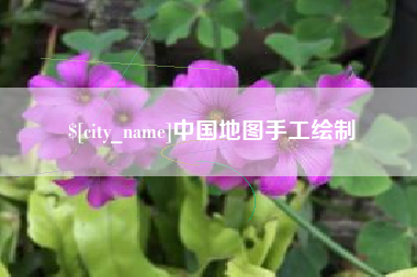崇左中国地图手工绘制