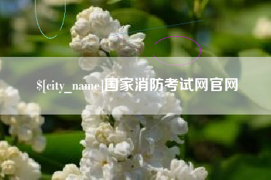 崇左国家消防考试网官网