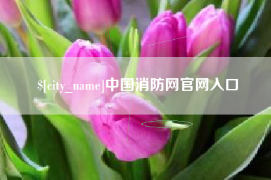 崇左中国消防网官网入口