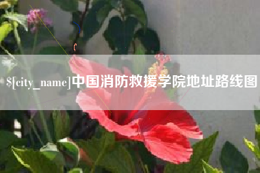 崇左中国消防救援学院地址路线图