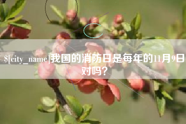 崇左我国的消防日是每年的11月9日对吗？