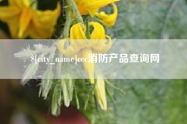 崇左ccc消防产品查询网