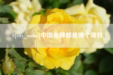 崇左中国金牌都是哪个项目