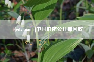 崇左中国消防公开课回放