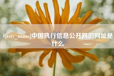 崇左中国执行信息公开网的网址是什么