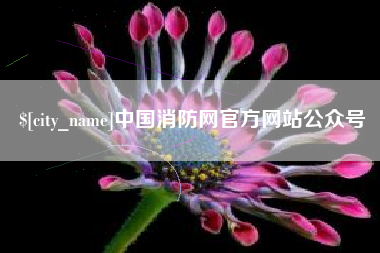 崇左中国消防网官方网站公众号