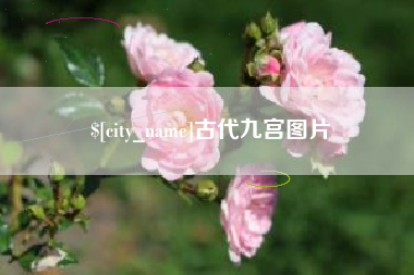 崇左古代九宫图片