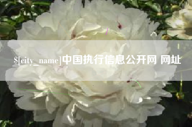 崇左中国执行信息公开网 网址