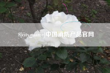 崇左中国消防产品官网