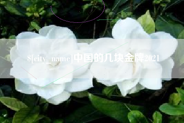 崇左中国的几块金牌2021