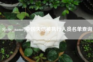 崇左中国失信被执行人员名单查询