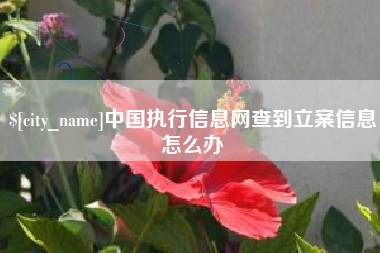 崇左中国执行信息网查到立案信息怎么办