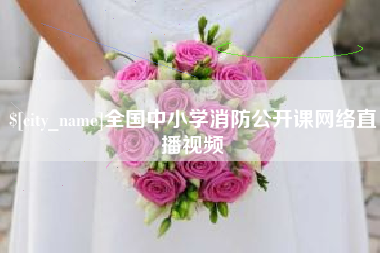 崇左全国中小学消防公开课网络直播视频