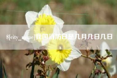 崇左我国消防日是几月几日几日