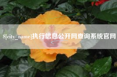 崇左执行信息公开网查询系统官网