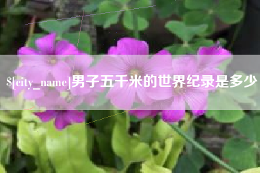 崇左男子五千米的世界纪录是多少